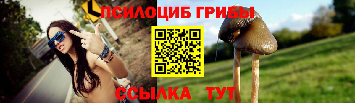 Наро-Фоминск  Галлюциногенные грибы Psilocybe  Вход с VPN 